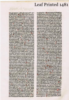 Leaf Printed 1481