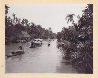 Along a Jungle River. 