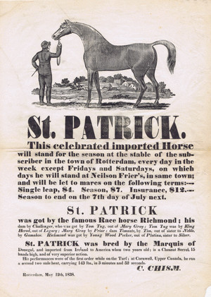 Broadside: St. Patrick, the Horse from Ireland. image
